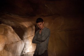 The Host (2013) - Max Irons