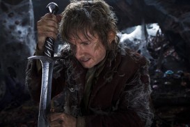 The Hobbit: The Desolation of Smaug (2013) - Martin Freeman