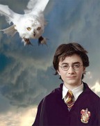 Harry Potter and the Sorcerer's Stone (2001) - Daniel Radcliffe