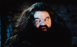 Harry Potter and the Sorcerer's Stone (2001) - Robbie Coltrane