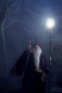 Harry Potter and the Sorcerer's Stone (2001) - Richard Harris