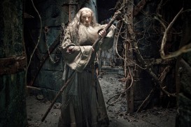 The Hobbit: The Desolation of Smaug (2013) - Ian McKellen