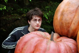 Harry Potter and the Prisoner of Azkaban (2004) - Daniel Radcliffe