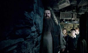 Harry Potter and the Order of the Phoenix (2007) - Robbie Coltrane