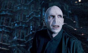 Harry Potter and the Order of the Phoenix (2007) - Ralph Fiennes