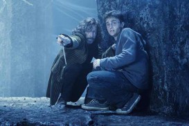 Harry Potter and the Order of the Phoenix (2007) - Gary Oldman, Daniel Radcliffe