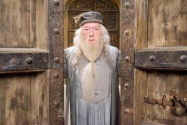Harry Potter and the Order of the Phoenix (2007) - Michael Gambon