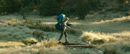 Wild (2014) - Reese Witherspoon