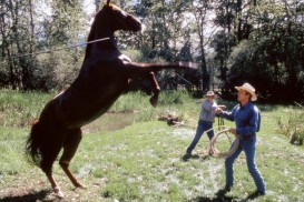 The Horse Whisperer (1998) - George Strait, Robert Redford