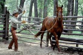 The Horse Whisperer (1998) - Robert Redford