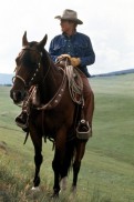 The Horse Whisperer (1998) - Robert Redford