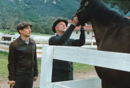 Seabiscuit (2003) - Chris Cooper, Tobey Maguire