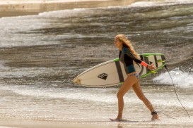 The Shallows (2016) - Blake Lively