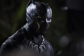 Black Panther (2018) - Chadwick Boseman