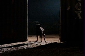 Rottweiler (2004)