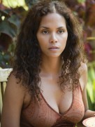 Things We Lost in the Fire (2007) - Halle Berry