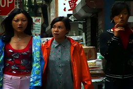 Year of the Fish (2007) - Corrine Hong Wu, An Nguyen