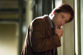 Things We Lost in the Fire (2007) - David Duchovny
