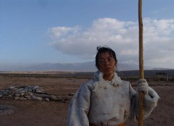 Tuya de hun shi (2006)