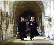 Harry Potter and the Half-Blood Prince (2008)