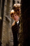 Harry Potter and the Half-Blood Prince (2009) - Rupert Grint, Daniel Radcliffe