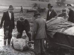 Gromada (1952) - Ludwik Benoit