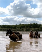 Voleurs de chevaux (2007)