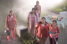 Lady in the Water (2006) - Natasha Perez, Maricruz Hernandez, Carla Jimenez, Marilyn Torres, Monique