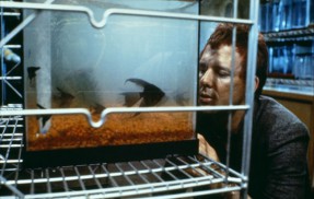 Rumble Fish (1983) - Mickey Rourke