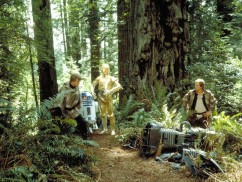 Star Wars: Episode VI - Return of the Jedi (1983) - Mark Hamill, Harrison Ford