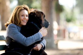 Must Love Dogs (2005) - Diane Lane
