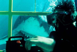 Shark Attack (1999)