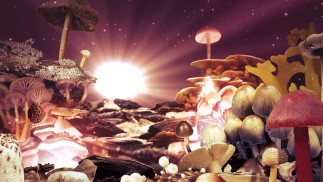 Know Your Mushrooms (2008)