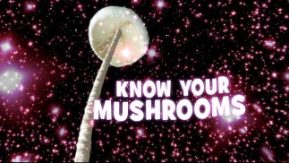 Know Your Mushrooms (2008)