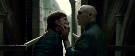 Harry Potter and the Deathly Hallows: Part I (2010) - Daniel Radcliffe, Ralph Fiennes