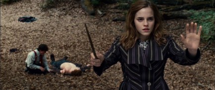 Harry Potter and the Deathly Hallows: Part I (2010) - Emma Watson