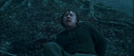 Harry Potter and the Deathly Hallows: Part I (2010) - Rupert Grint