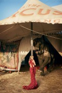 Water for Elephants (2011) - Reese Witherspoon