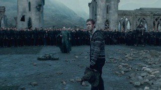 Harry Potter and the Deathly Hallows: Part 2 (2011) - Ralph Fiennes, Matthew Lewis