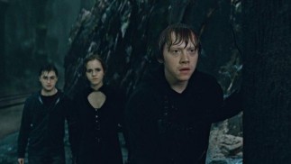 Harry Potter and the Deathly Hallows: Part 2 (2011) - Daniel Radcliffe, Emma Watson, Rupert Grint