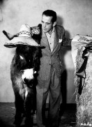 The Treasure of the Sierra Madre (1948) - Humphrey Bogart