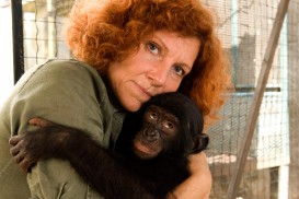 Bonobos (2011)
