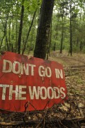 Don't Go in the Woods (2010)